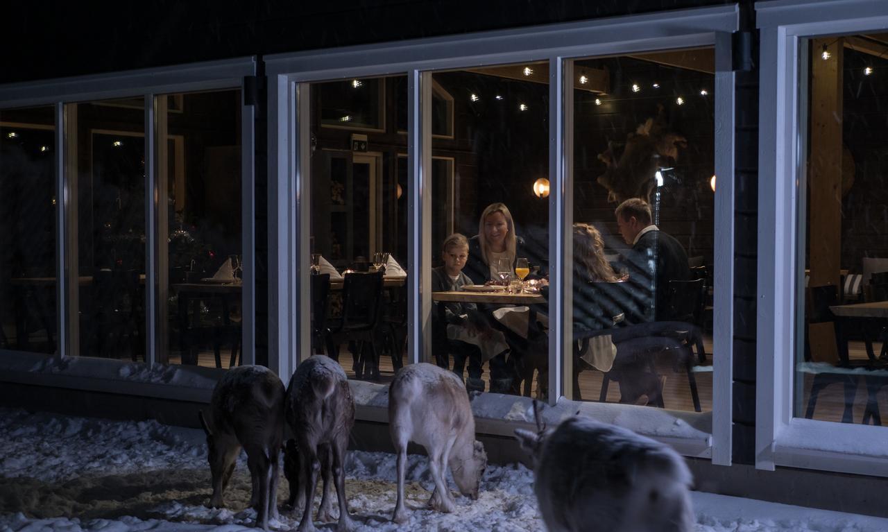 Northern Lights Ranch Леві Екстер'єр фото